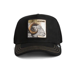 BASEBALL CAP GOLDEN LEGEND VOID